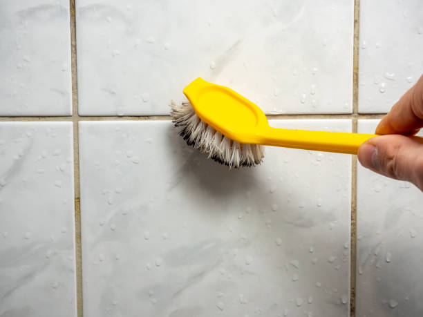 Best Professional Mold Removal  in Eggertsville, NY